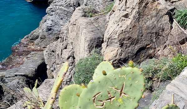 dore-bucht-felsen-kaktus-inschrift-liebe-600x350px